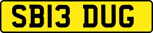 SB13DUG