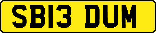 SB13DUM