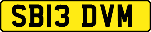 SB13DVM