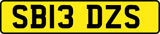 SB13DZS