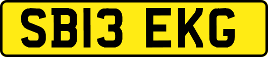 SB13EKG