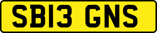 SB13GNS