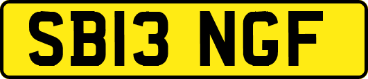 SB13NGF
