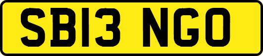 SB13NGO