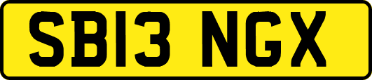 SB13NGX