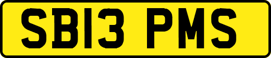 SB13PMS