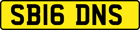 SB16DNS