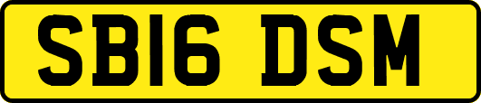 SB16DSM