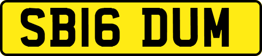 SB16DUM