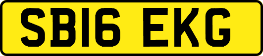 SB16EKG