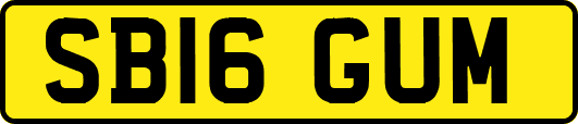 SB16GUM