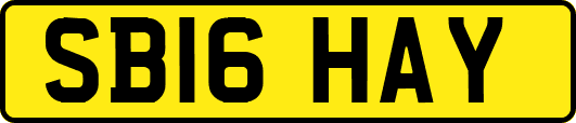 SB16HAY