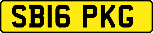 SB16PKG