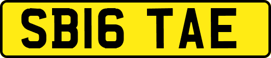 SB16TAE