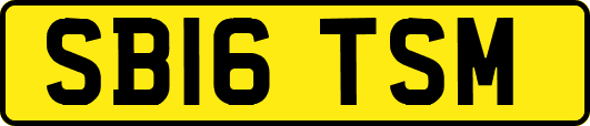 SB16TSM