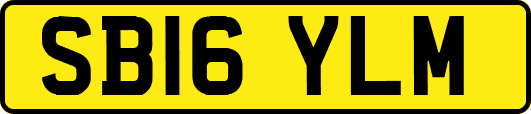 SB16YLM