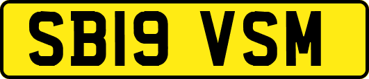 SB19VSM
