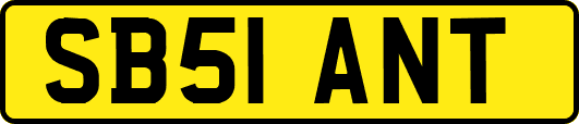 SB51ANT