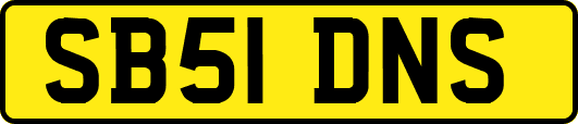 SB51DNS