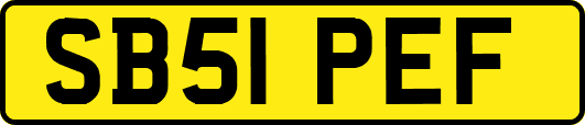 SB51PEF