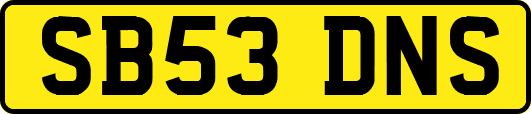 SB53DNS