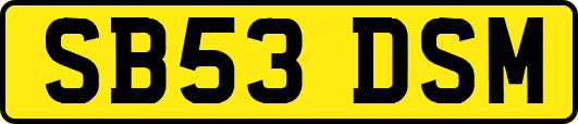 SB53DSM