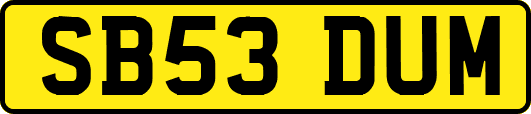SB53DUM