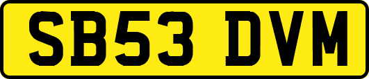 SB53DVM