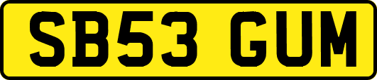 SB53GUM