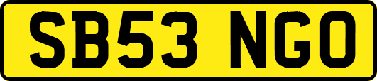 SB53NGO