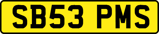SB53PMS