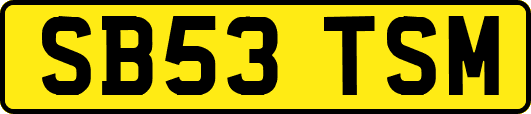 SB53TSM