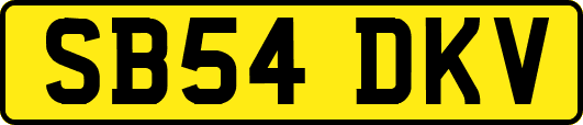 SB54DKV