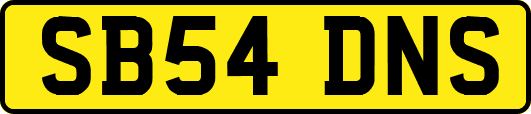 SB54DNS