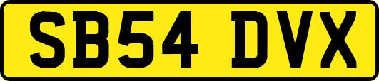 SB54DVX