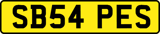 SB54PES