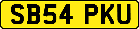 SB54PKU