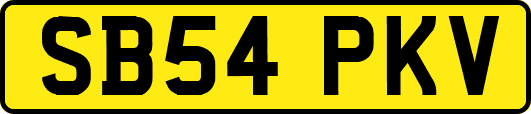 SB54PKV