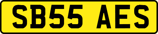 SB55AES