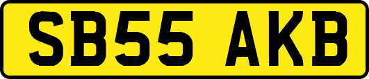 SB55AKB