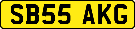 SB55AKG