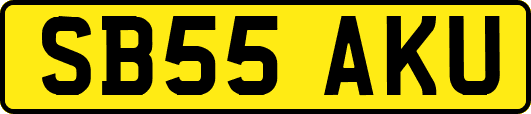 SB55AKU