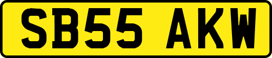SB55AKW