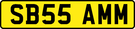 SB55AMM