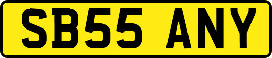 SB55ANY