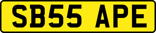 SB55APE