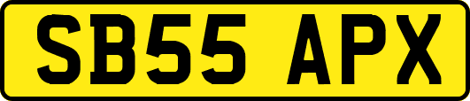 SB55APX