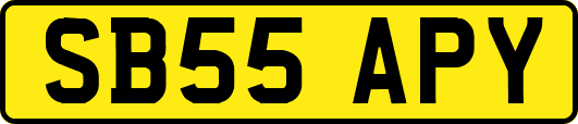 SB55APY