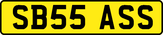SB55ASS