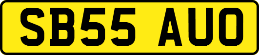 SB55AUO